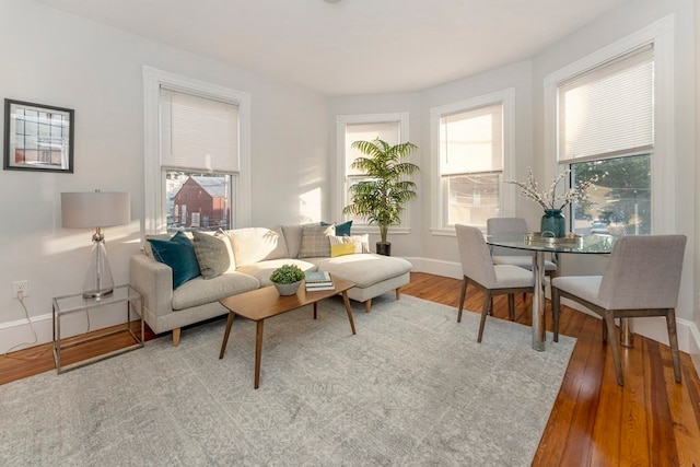 living room with wood-type flooring