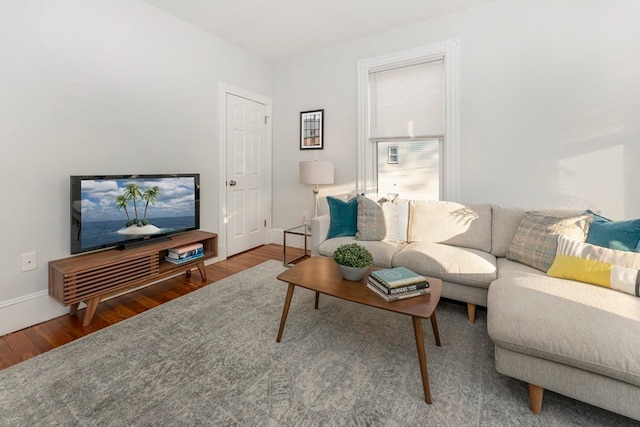 living room with hardwood / wood-style flooring