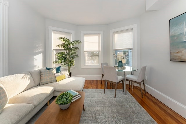 living room featuring hardwood / wood-style floors