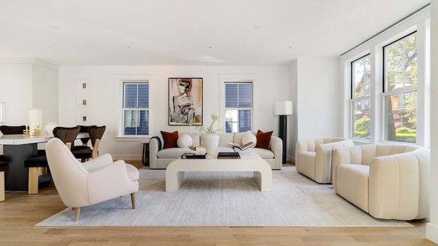 13 Mellen St, Cambridge, MA 02138 - living area with light wood-style flooring