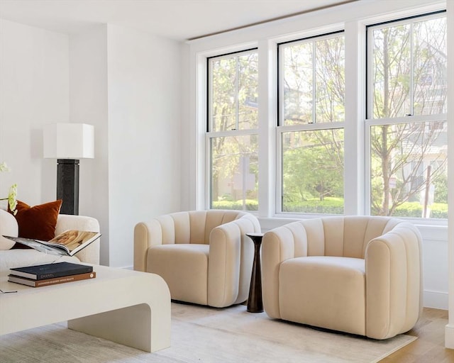 13 Mellen St, Cambridge, MA 02138 - view of living room