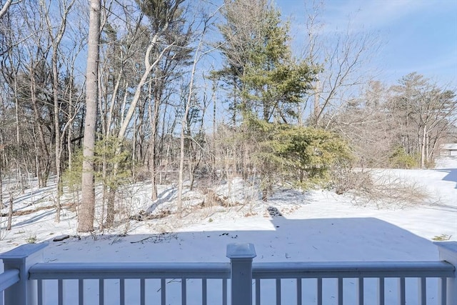 view of yard layered in snow