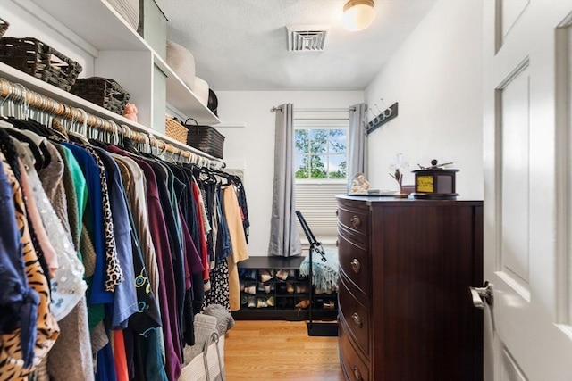 51 Lilah Ln, Reading, MA 01867 - spacious closet featuring light wood-style floors