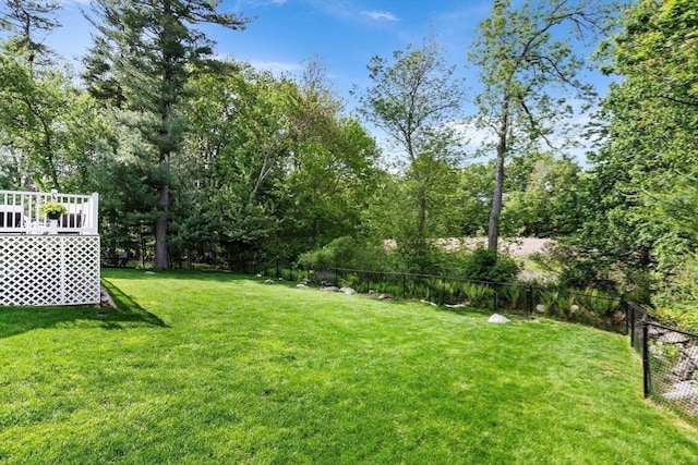 51 Lilah Ln, Reading, MA 01867 - view of yard