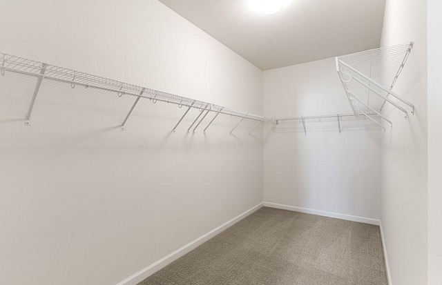 2 Codman Way Unit 311, Westborough, MA 01581 - walk in closet with carpet floors