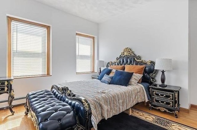 21 Parker St, Boston, MA 02129 - bedroom featuring wood finished floors, a baseboard radiator, and vaulted ceiling