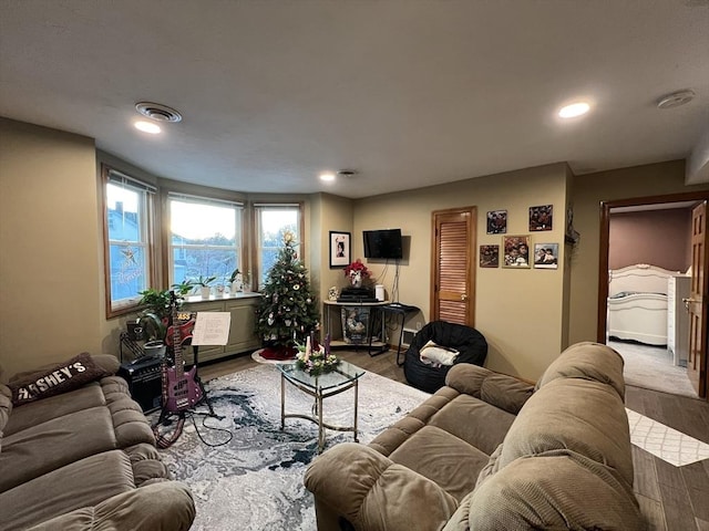 living room with wood-type flooring