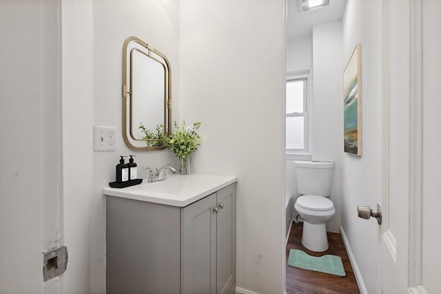 bathroom featuring vanity, toilet, and wood-type flooring