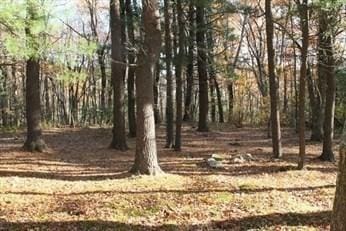 LOT181 Ash St, Spencer MA, 01562 land for sale