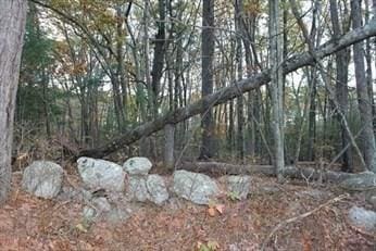 Listing photo 2 for LOT181 Ash St, Spencer MA 01562