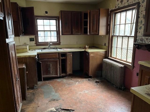 kitchen with radiator, dark brown cabinetry, and sink