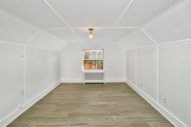 additional living space featuring hardwood / wood-style flooring and radiator