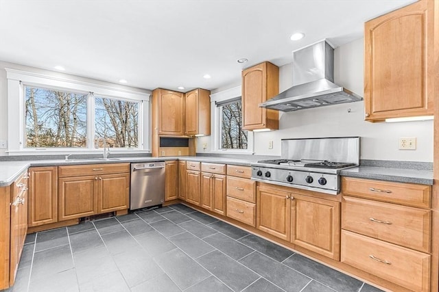 kitchen featuring stainless steel appliances, sink, dark tile patterned flooring, and wall chimney exhaust hood