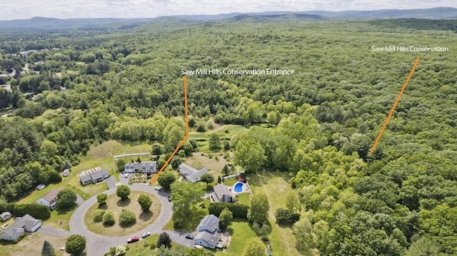 47 Avis Cir, Northampton, MA 01062 - bird's eye view of a heavily wooded area