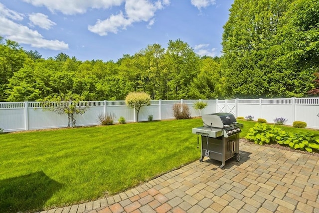 47 Avis Cir, Northampton, MA 01062 - view of yard with a patio