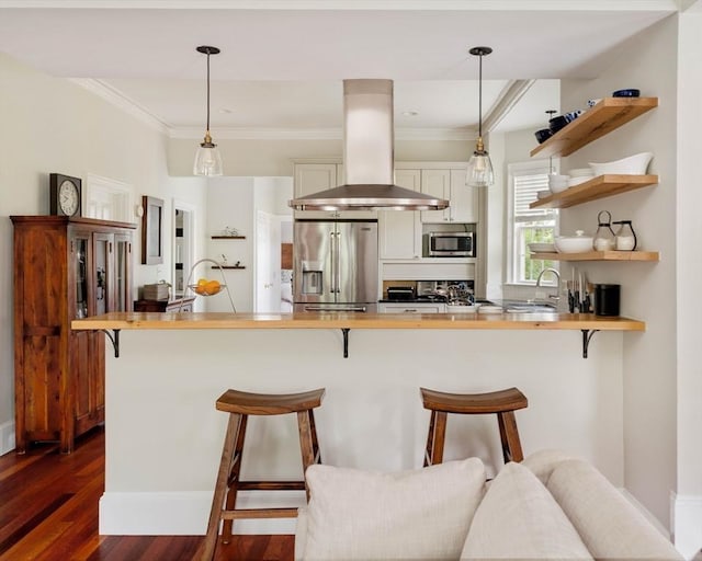 17 Rockview St Unit 1, Boston, MA 02130 - kitchen with appliances with stainless steel finishes, island range hood, dark wood-style flooring, open shelves, and ornamental molding