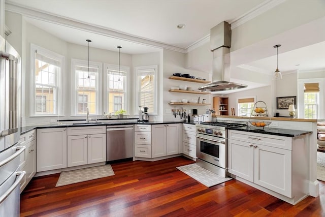 17 Rockview St Unit 1, Boston, MA 02130 - kitchen featuring high end appliances, a peninsula, dark wood-style flooring, island range hood, and ornamental molding