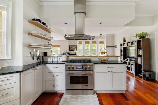 17 Rockview St Unit 1, Boston, MA 02130 - kitchen featuring stainless steel range, dark wood-style flooring, open shelves, a peninsula, and island range hood
