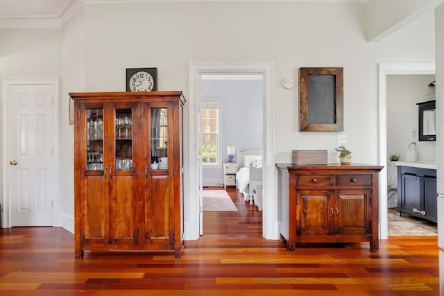 17 Rockview St Unit 1, Boston, MA 02130 - hallway featuring wood finished floors, ornamental molding, and baseboards