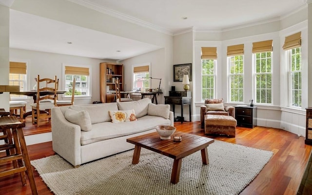17 Rockview St Unit 1, Boston, MA 02130 - living area with wood finished floors and ornamental molding