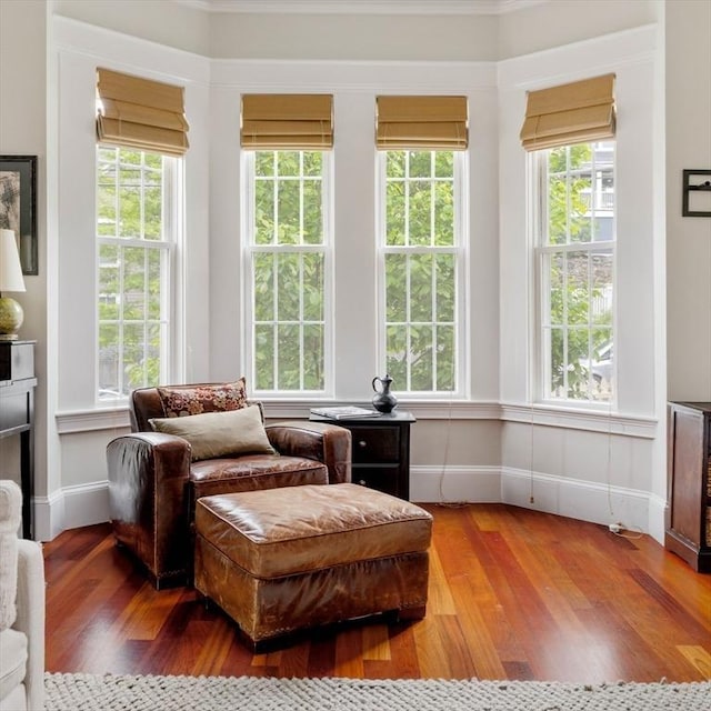 17 Rockview St Unit 1, Boston, MA 02130 - sitting room featuring wood finished floors, healthy amount of natural light, and baseboards