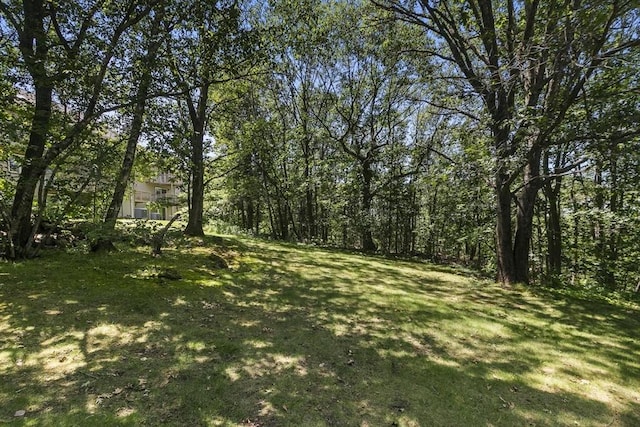 1702 Lewis O Gray Dr Unit 1702, Saugus, MA 01906 - view of grassy yard