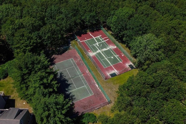 1702 Lewis O Gray Dr Unit 1702, Saugus, MA 01906 - drone / aerial view of a heavily wooded area