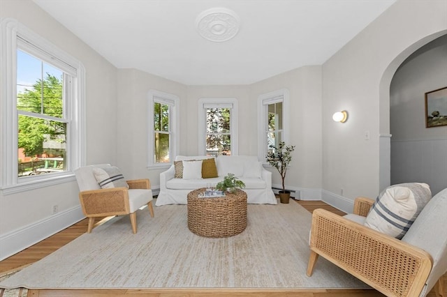 85 Holworthy Unit 85, Cambridge, MA 02138 - living area featuring wood finished floors, baseboard heating, healthy amount of natural light, and arched walkways