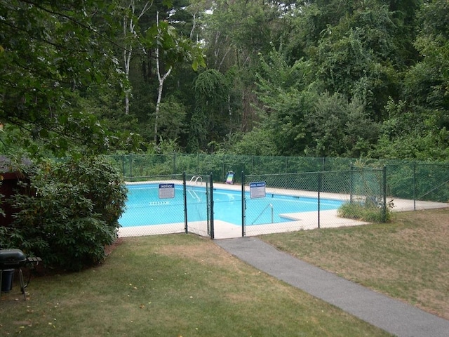 2 Summit Dr Unit 18, Reading, MA 01867 - community pool with area for grilling