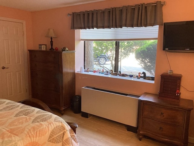 2 Summit Dr Unit 18, Reading, MA 01867 - bedroom with radiator heating unit and light wood finished floors