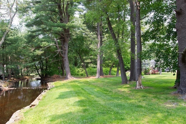 4 Morningside Dr, Beverly, MA 01915 - view of green lawn