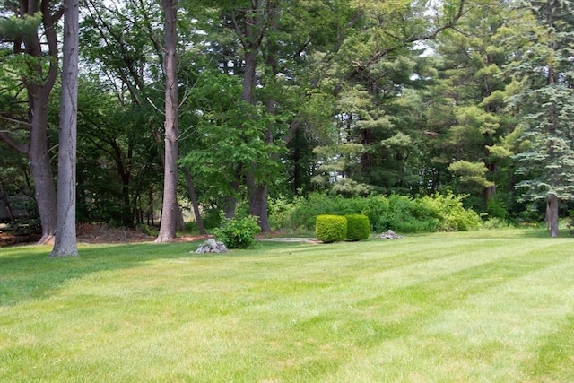 4 Morningside Dr, Beverly, MA 01915 - view of green lawn