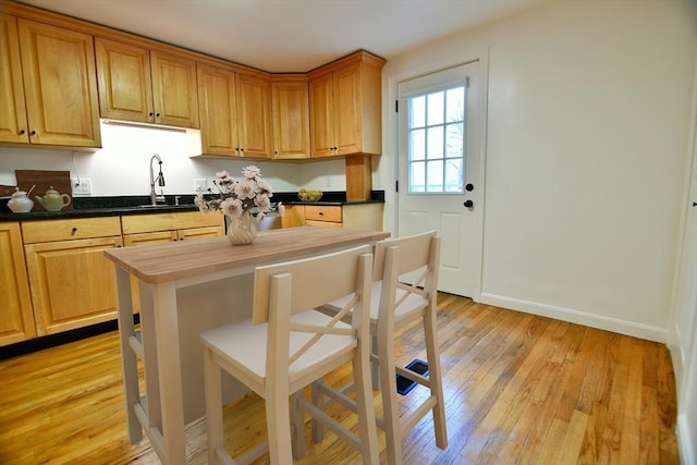 kitchen with sink and light hardwood / wood-style flooring