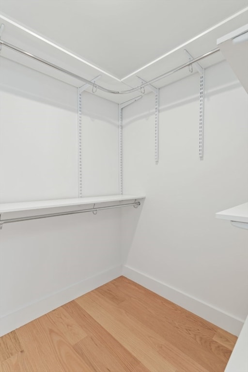 walk in closet featuring wood-type flooring