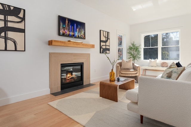 living room with hardwood / wood-style flooring