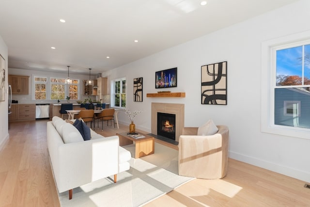 living room with light wood-type flooring