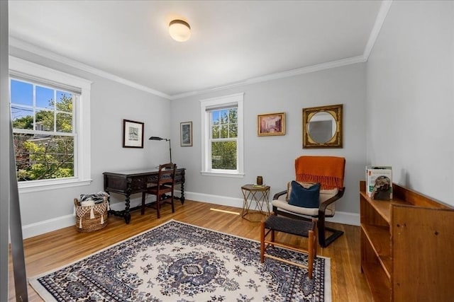 37 Meagher Ave, Milton, MA 02186 - living area with ornamental molding, wood finished floors, and baseboards