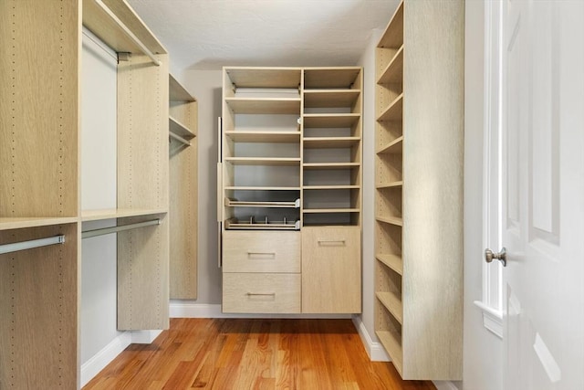 walk in closet featuring light wood-type flooring