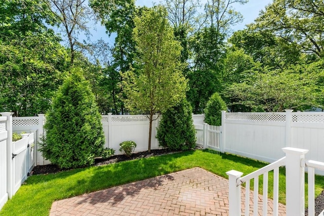 view of yard with a patio area