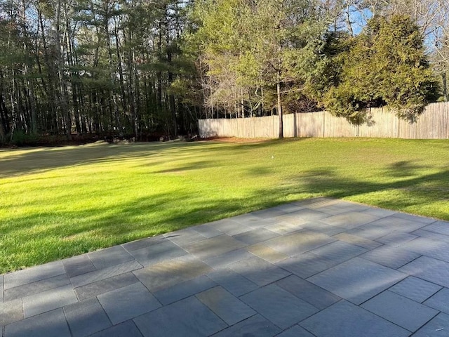 view of yard with a patio