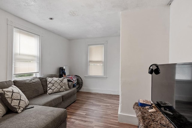 376 Elm St, Fitchburg, MA 01420 - living room with wood finished floors and a textured ceiling