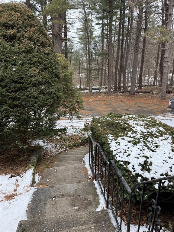 view of snowy yard