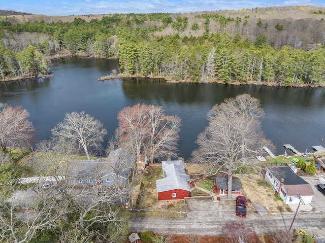 drone / aerial view featuring a water view and a view of trees