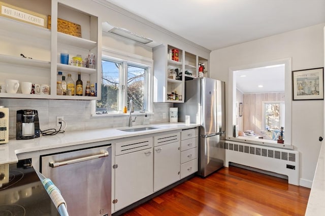 kitchen featuring radiator heating unit, appliances with stainless steel finishes, decorative backsplash, dark wood-type flooring, and sink