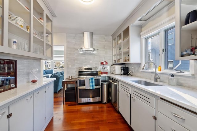 kitchen with backsplash, sink, dark wood-type flooring, appliances with stainless steel finishes, and ventilation hood