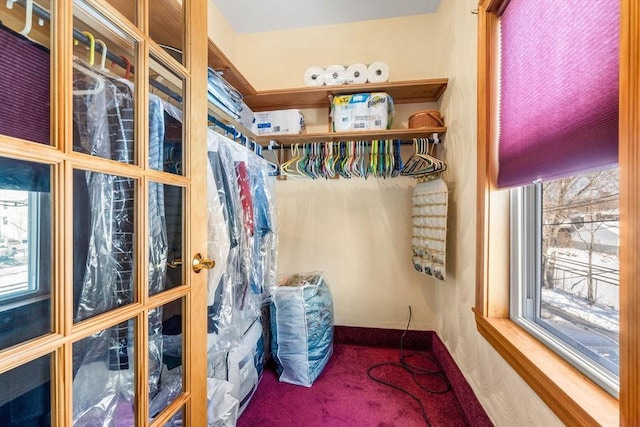 spacious closet with carpet