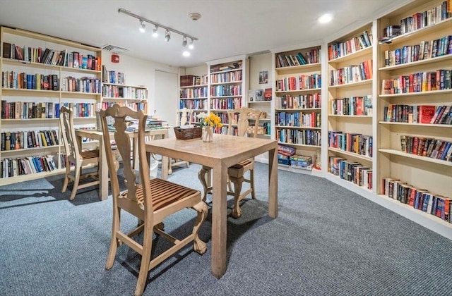 carpeted home office with rail lighting