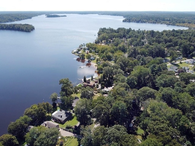 11 Summit Ave, Lakeville, MA 02347 - bird's eye view of a nearby body of water and a heavily wooded area