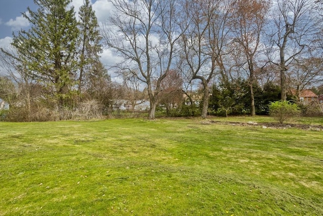 90 Westwood Ave, East Longmeadow, MA 01028 - view of yard