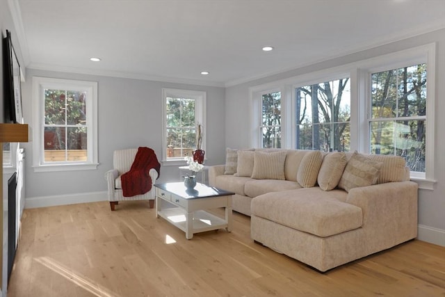 living room featuring light hardwood / wood-style floors and ornamental molding